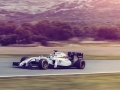 Maritni-Williams-FW36-F1-Fansite-2