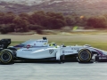 Maritni-Williams-FW36-F1-Fansite-3