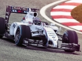 Maritni-Williams-FW36-F1-Fansite-4