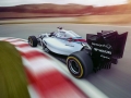 Maritni-Williams-FW36-F1-Fansite-5